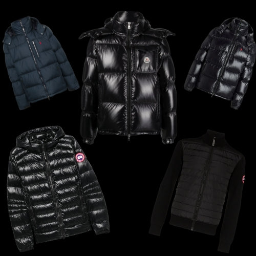 WINTER BEST SUPPLIERS- Designer Jackets